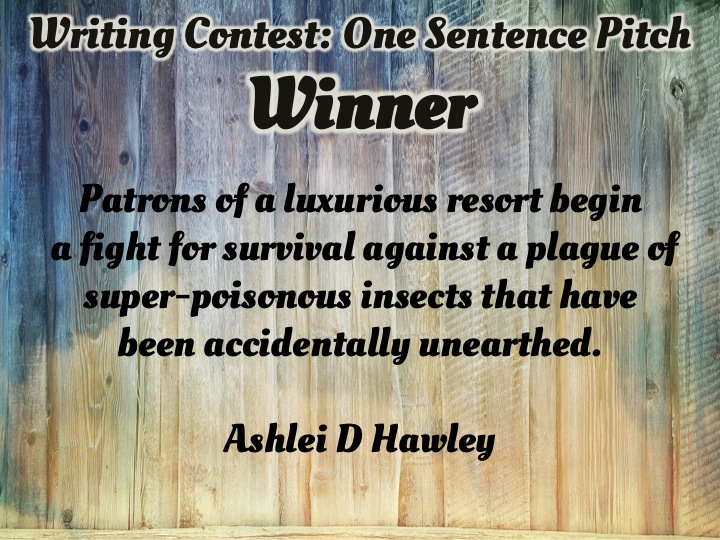  The One Sentence Pitch Contest