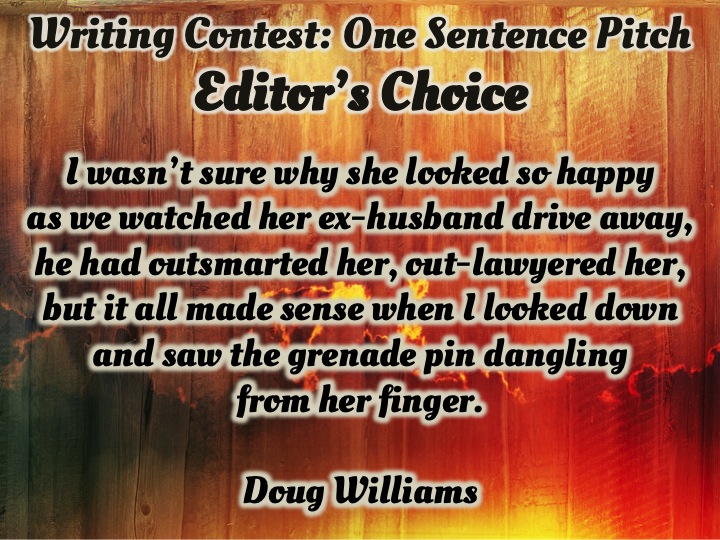» The One Sentence Pitch Contest