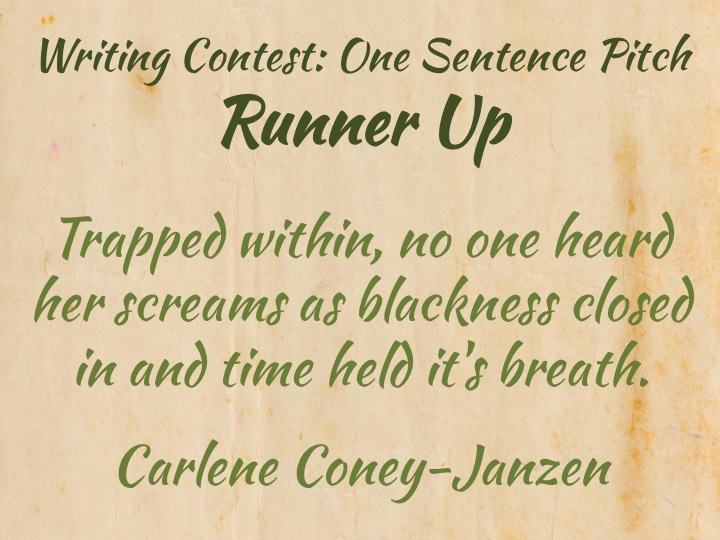 » The One Sentence Pitch Contest