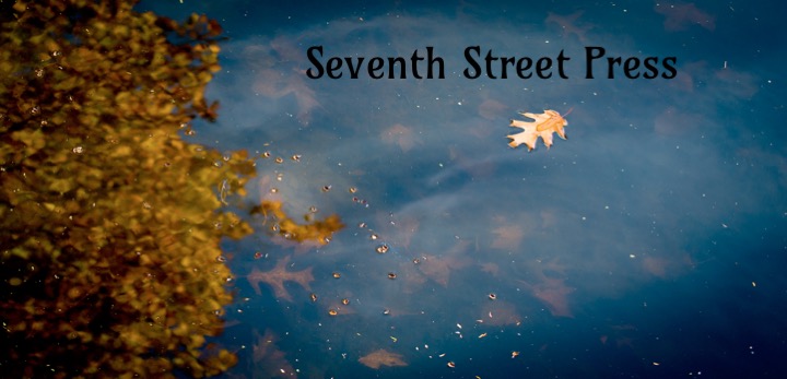 Ford street publishing submission guidelines #9